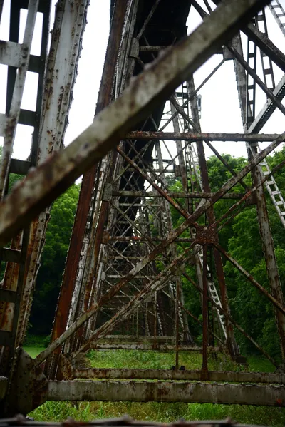 DSC_2211 (Large).JPG